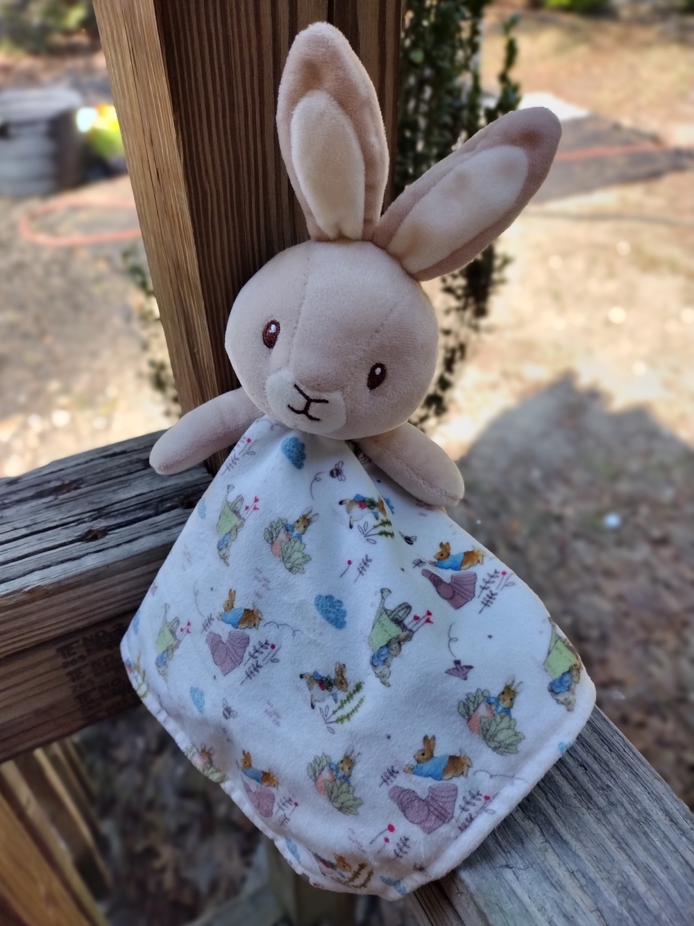Peter Rabbit Lovey with Brand Tag